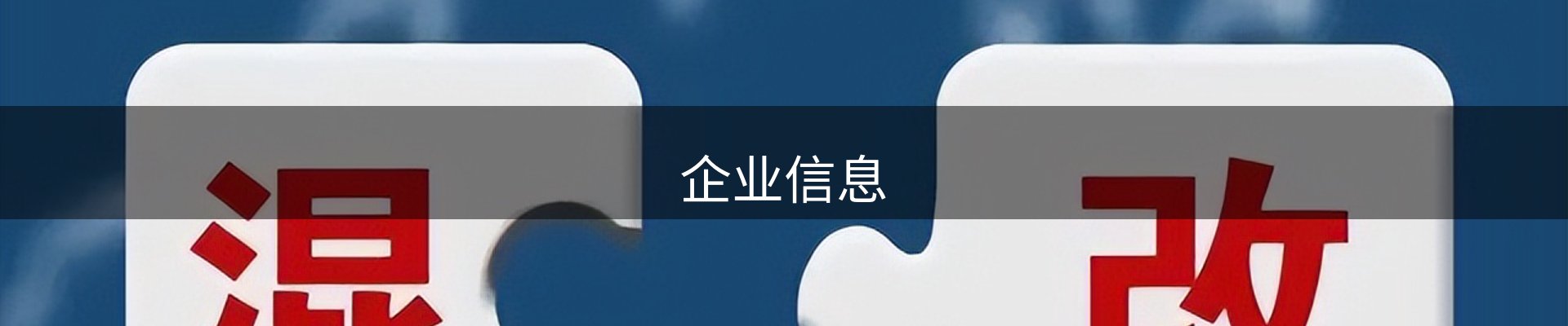 企业信息