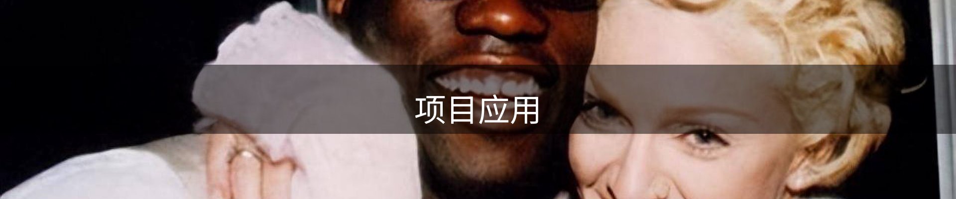 项目应用
